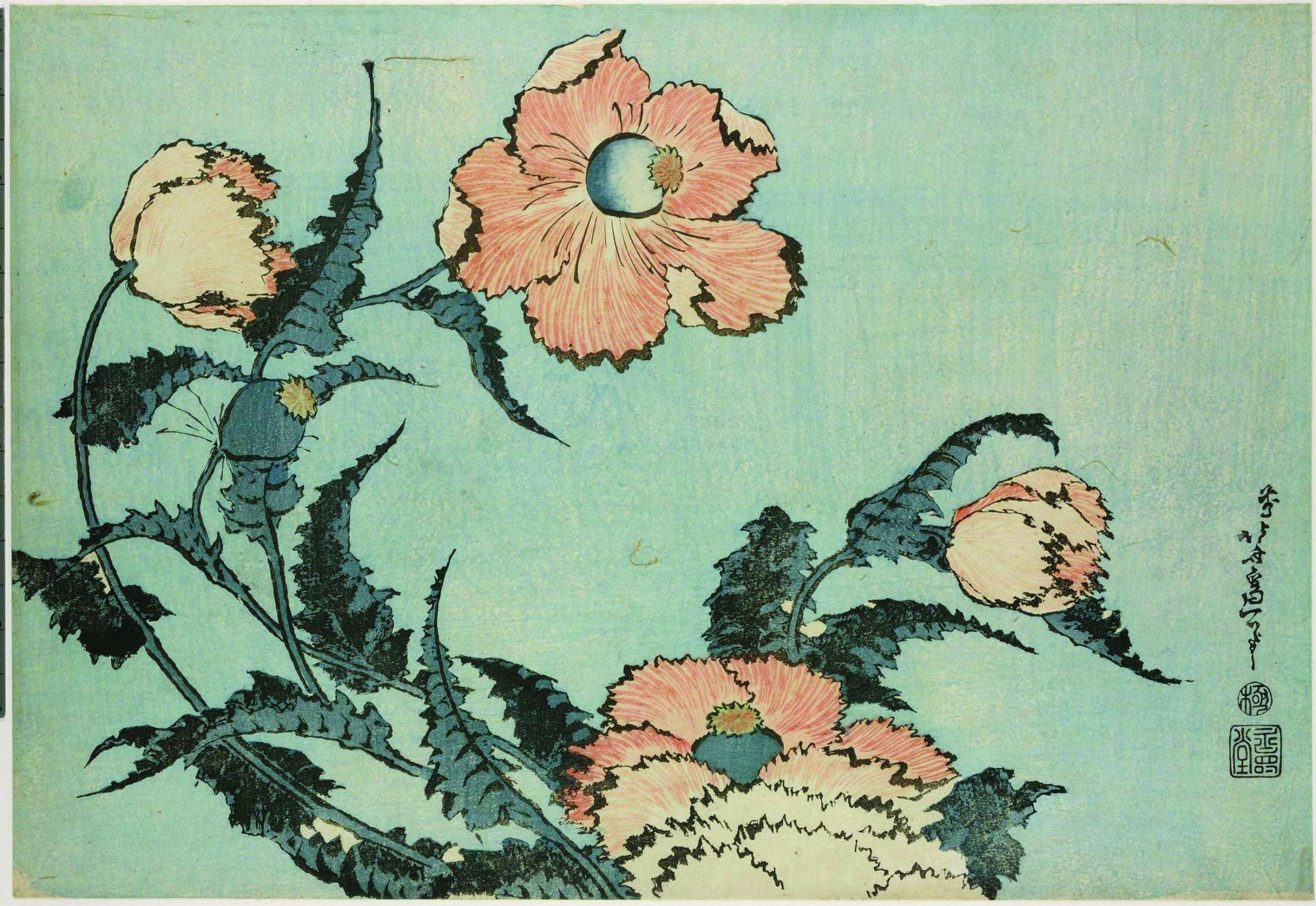 'Poppies from Large Flowers', colour woodblock, 1831-1832 (The trustees of the British Museum )