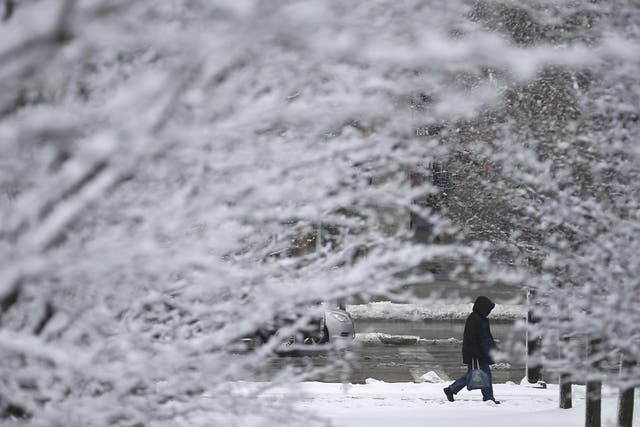 Fewer scenes like these frost-covered trees in Chicago are happening across much of the US