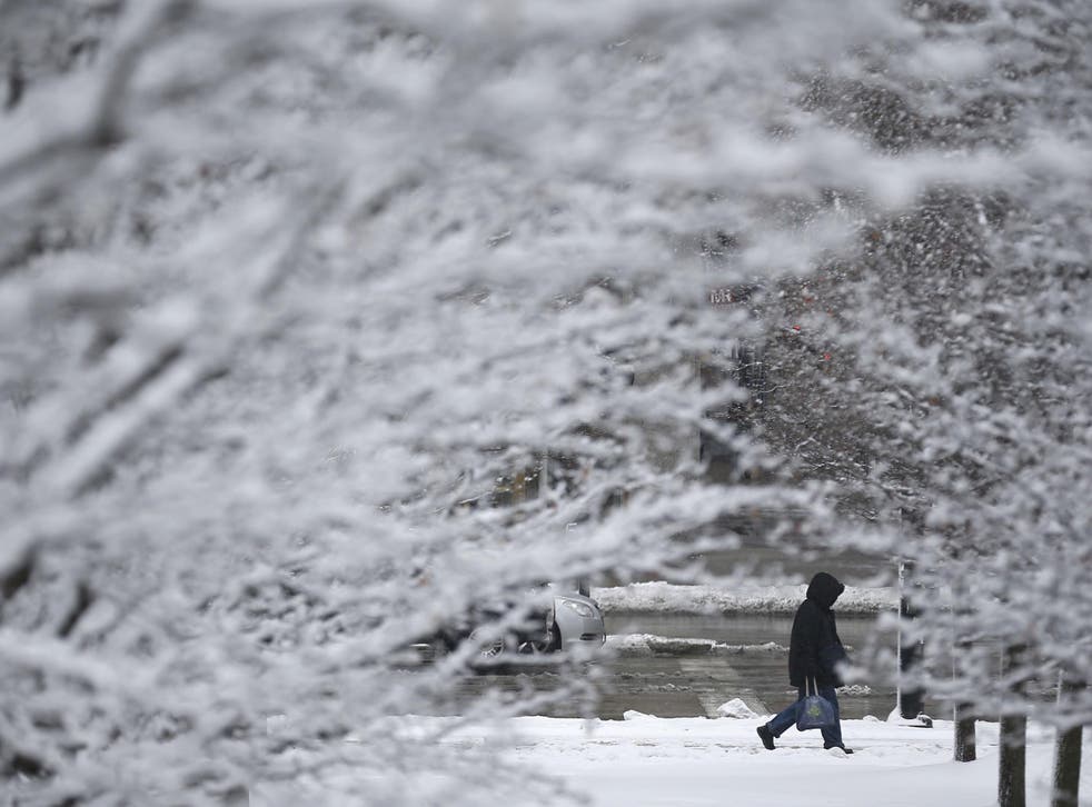 Fewer scenes like these frost-covered trees in Chicago are happening across much of the US