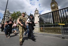 Police cuts 'mean forces can't terror threat without Army help'