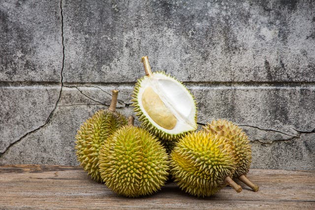 Durian fruit is so pungent that it is banned from public transport and hotels in parts of the world 