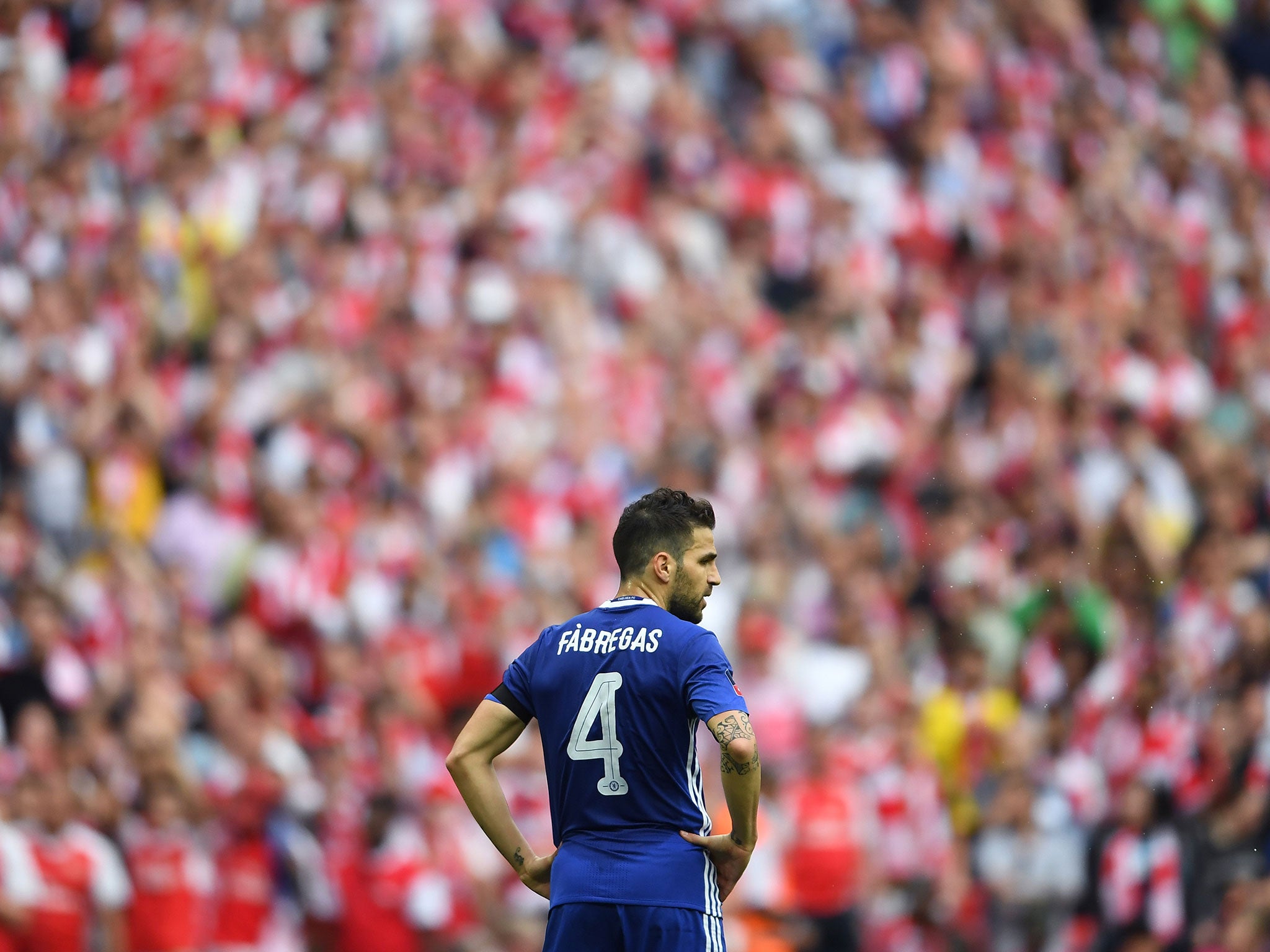 Cesc Fabregas was brought on later in the game