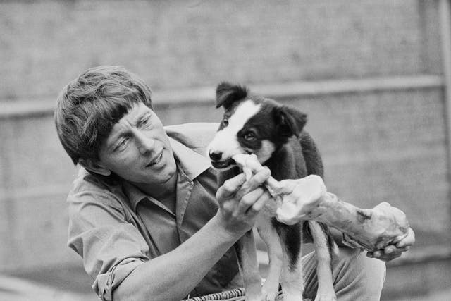 The television presenter was a hit with his border collie companion Shep, still a puppy in 1971 