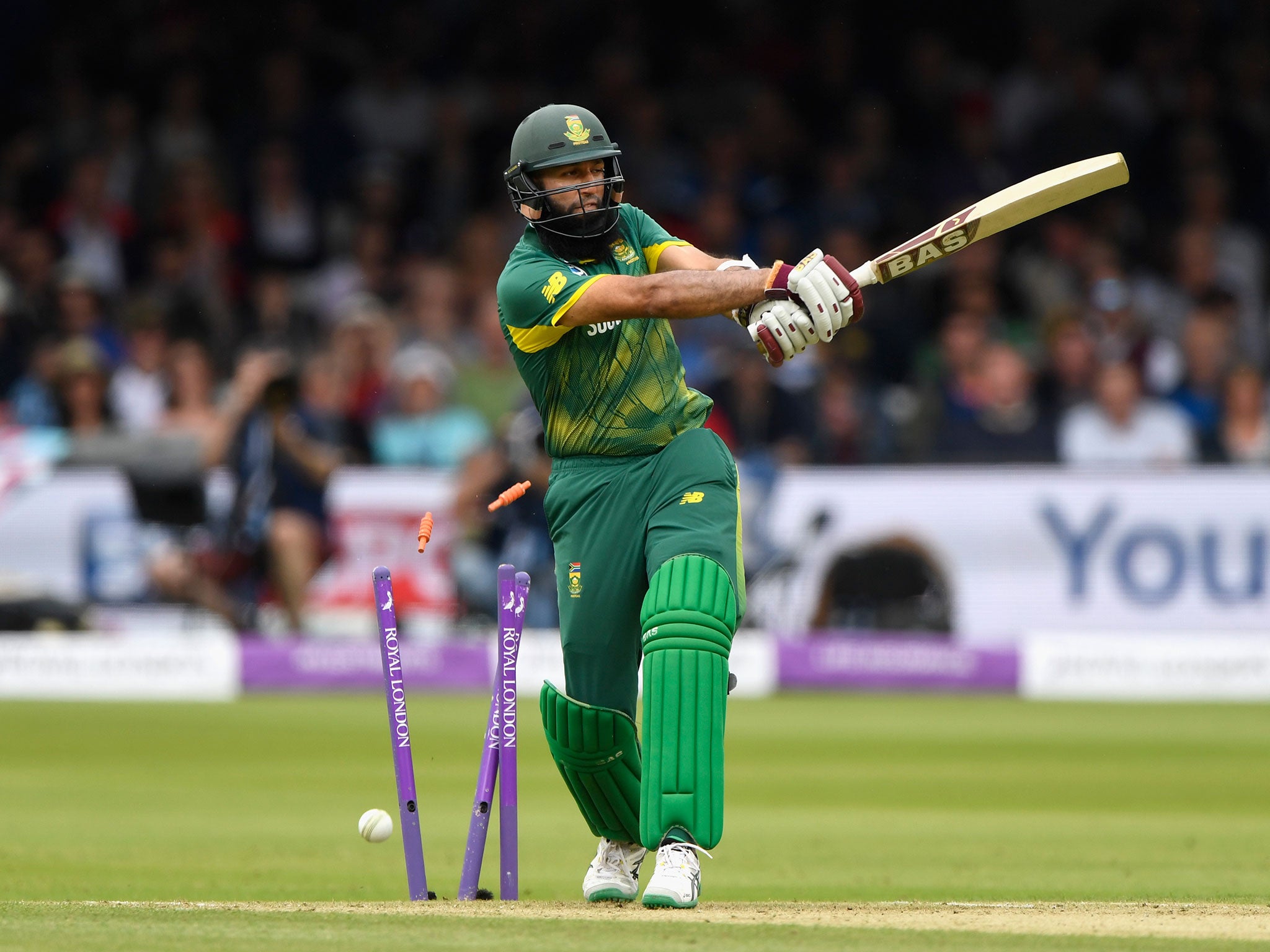 Hashim Amla set South Africa on their way