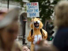 Voters are being turned off by Theresa May's fox hunting plans