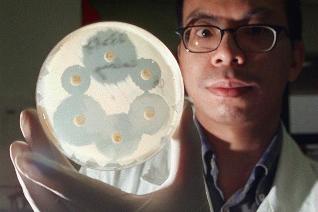 A medical technologist holds a drug-resistant Staphylococcus aureus culture, as medical experts hold urgent talks on how to fight the vancomycin-resistant bacteria