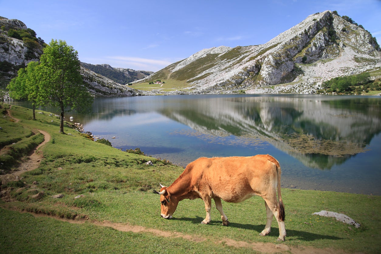 Explore Asturias in northern Spain (Getty/iStock)