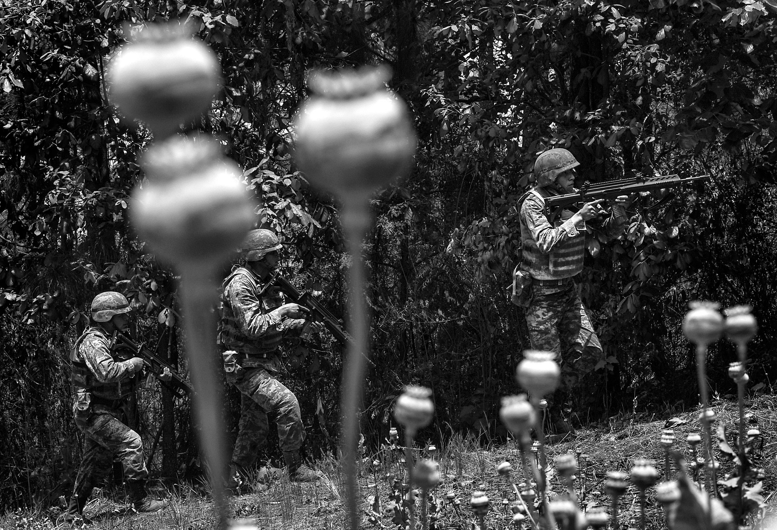 Mexican soldiers patrol through a field of opium poppies in Iyotla, looking for cartel members