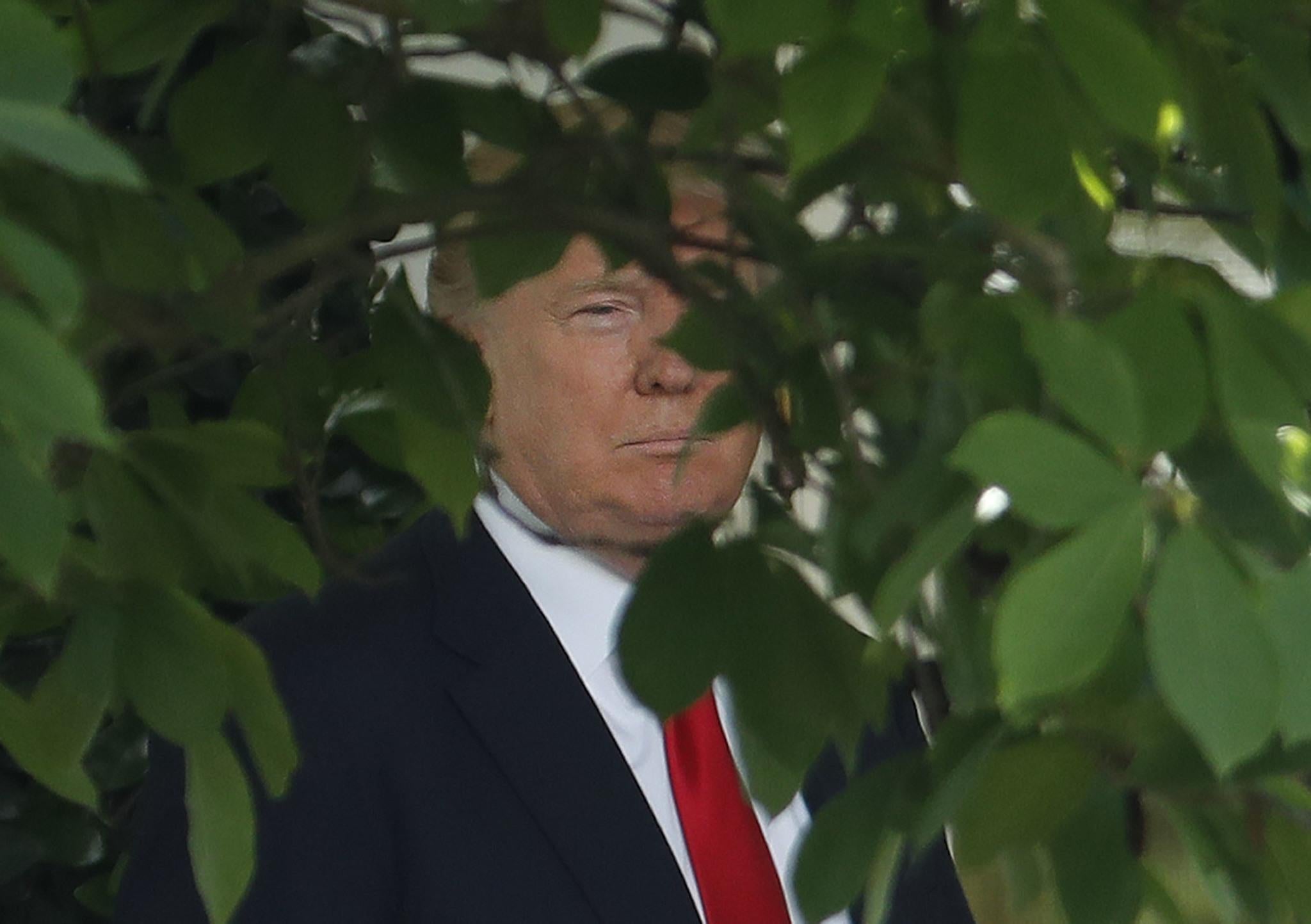 President Donald Trump walks out of the Oval Office to the Rose Garden of the White House