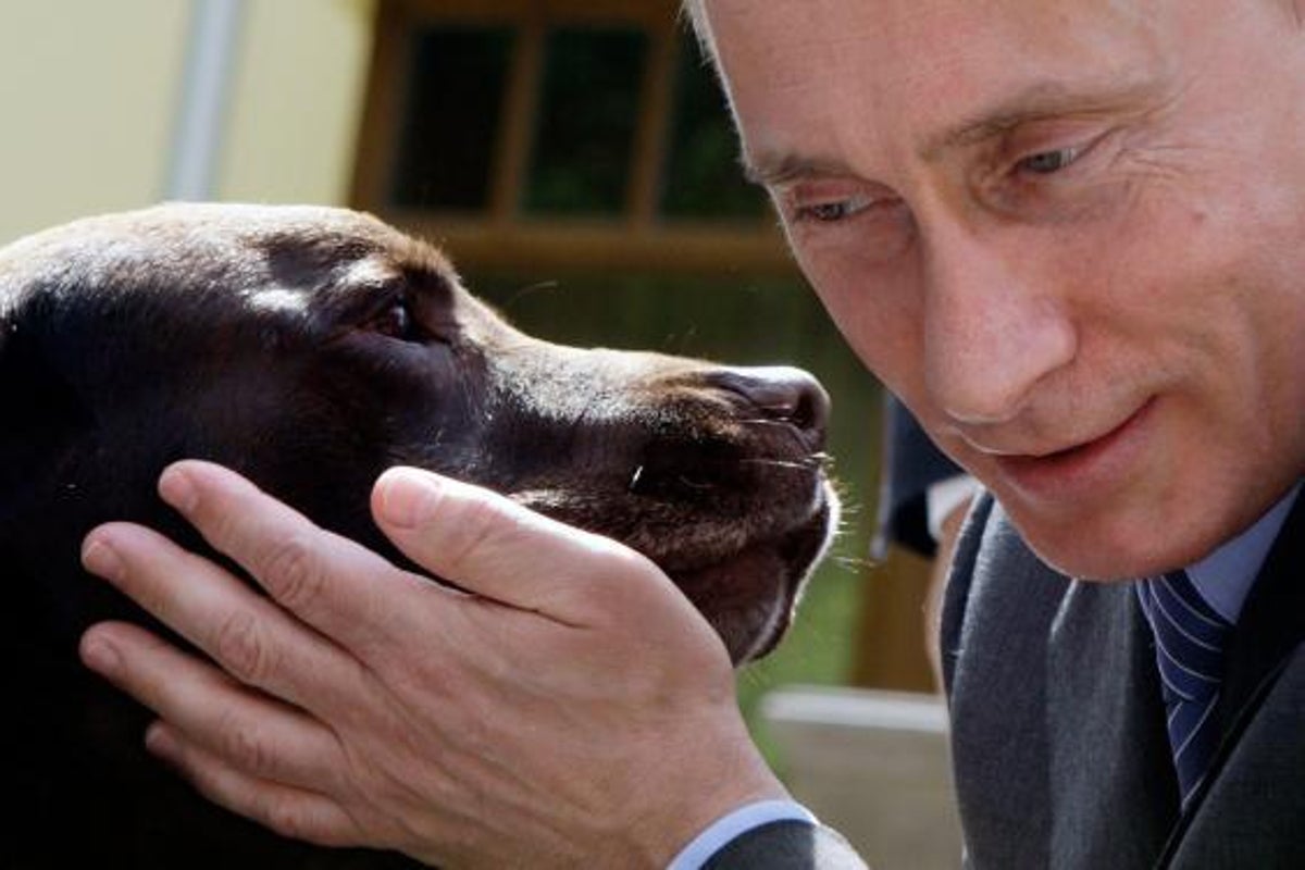 Vladimir Putin's hard-core daily routine includes hours of swimming ...