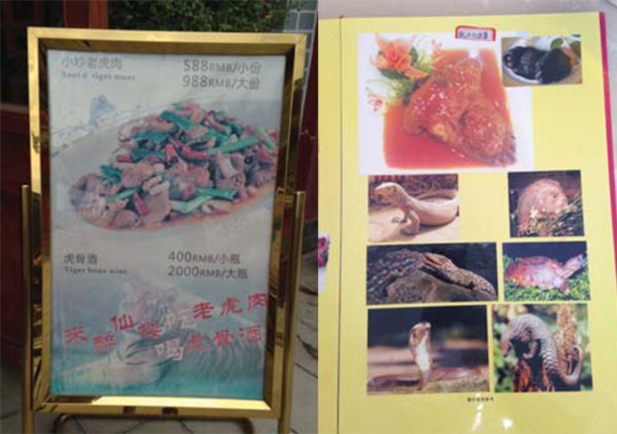 Menus outside the restaurants in the Chinatown area of the Golden Triangle Special Economic Zone openly advertise exotic meat, including sauté tiger