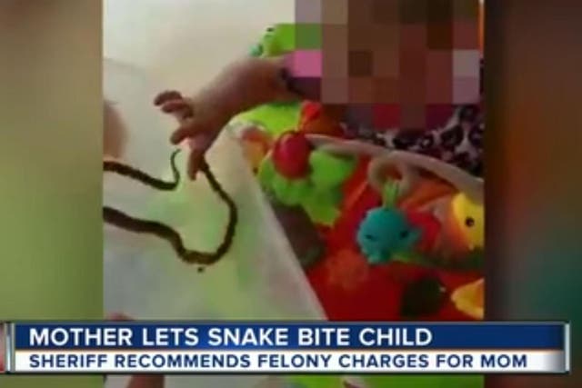 One-year-old child bitten by the non-venomous red rat snake