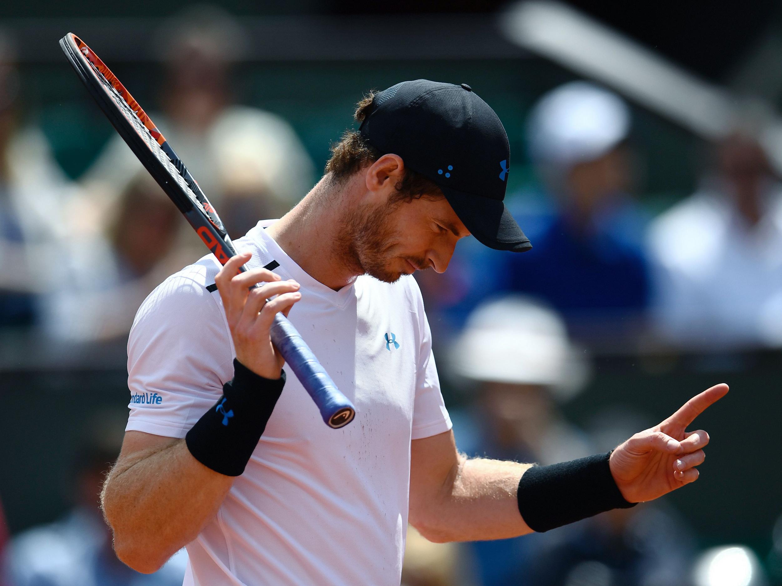 Murray will play Stan Wawrinka for a place in the French Open final
