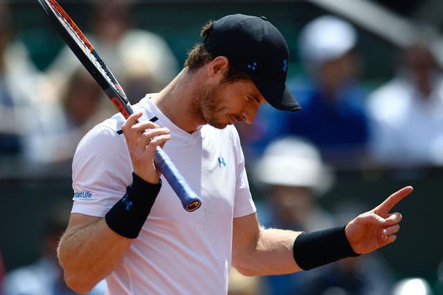 Murray will play Stan Wawrinka for a place in the French Open final