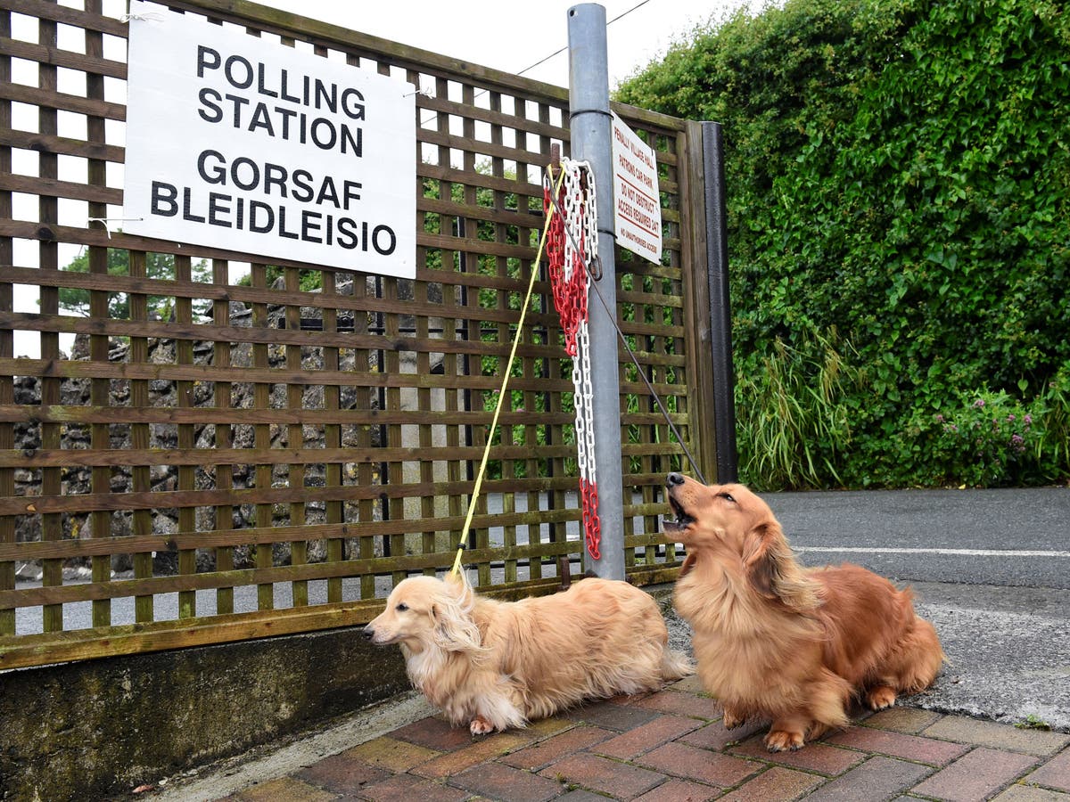 how many dogs are in the uk 2017