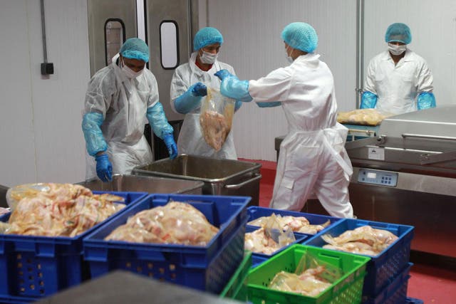Workers work in a meat processing plant in Doha, Qatar