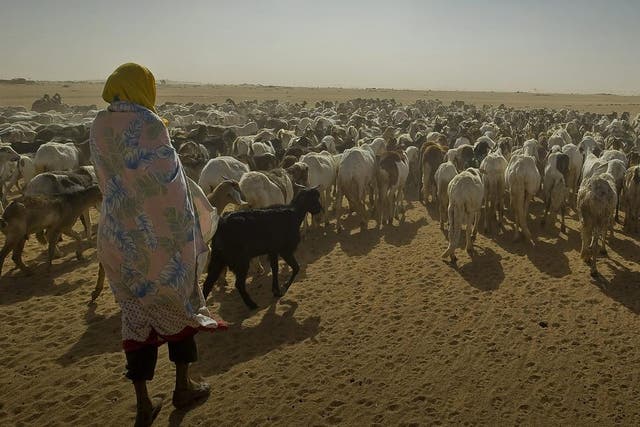 Most Chadians base their livelihoods on subsistence farming and livestock rearing