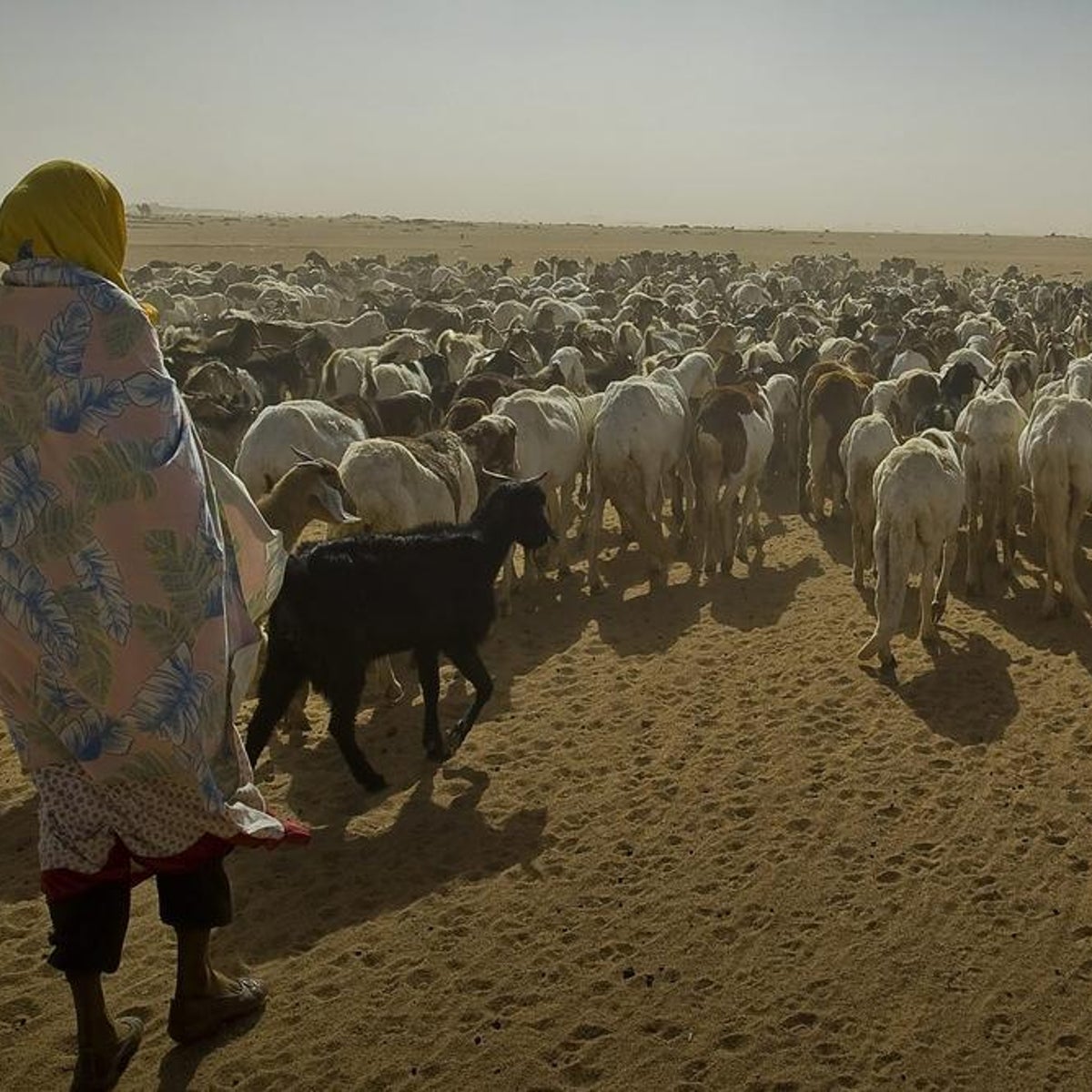 Chad is the country most vulnerable to climate change – here's why ... Chad is the country most vulnerable to climate change – here's why ...