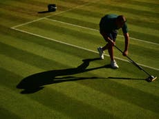 Grass court season preview: Can Federer make a winning return?