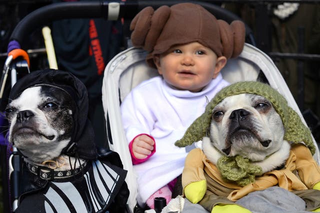 Dogs and baby dressed as characters from 'Star Wars' attend the 23rd Annual Tompkins Square Halloween Dog Parade on 26 October 2013 in New York City. 