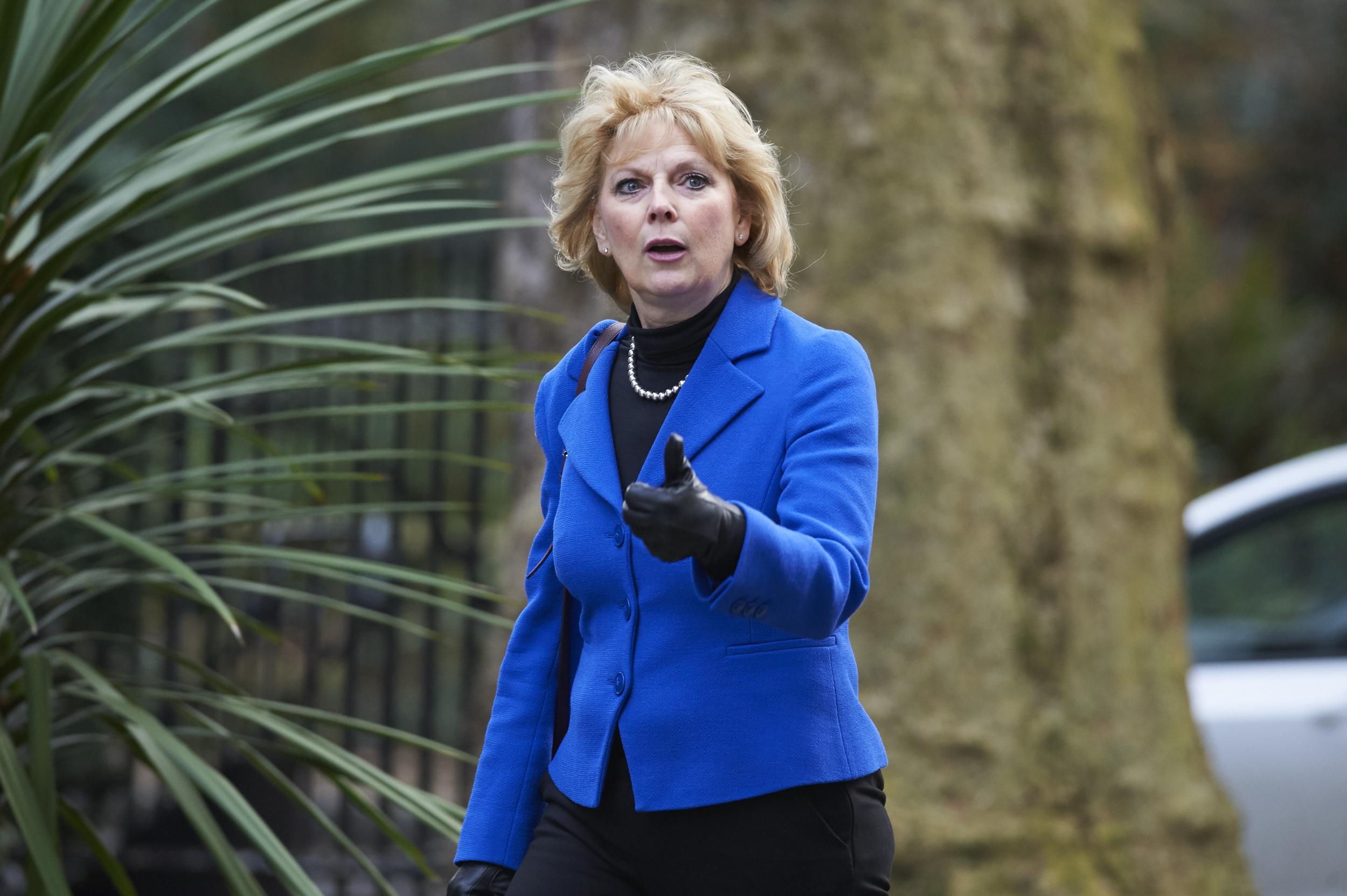 Pro-EU former minister Anna Soubry has been invited to discuss concerns with Ms May (AFP/Getty)