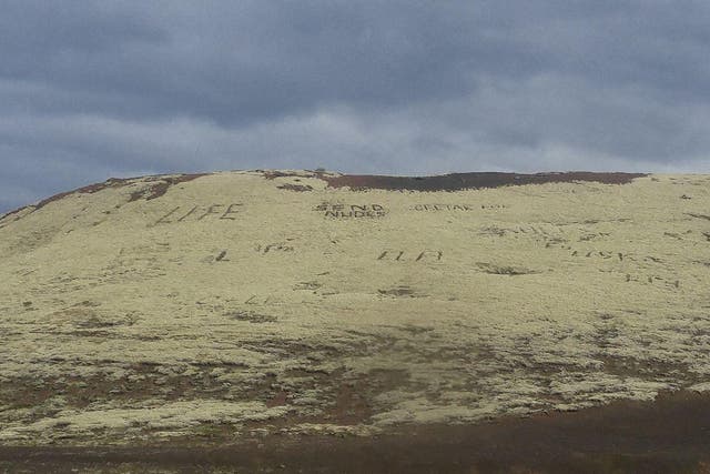 Anonymous wags have written "send nudes" on a hillside by ripping out moss that will take decades to regrow