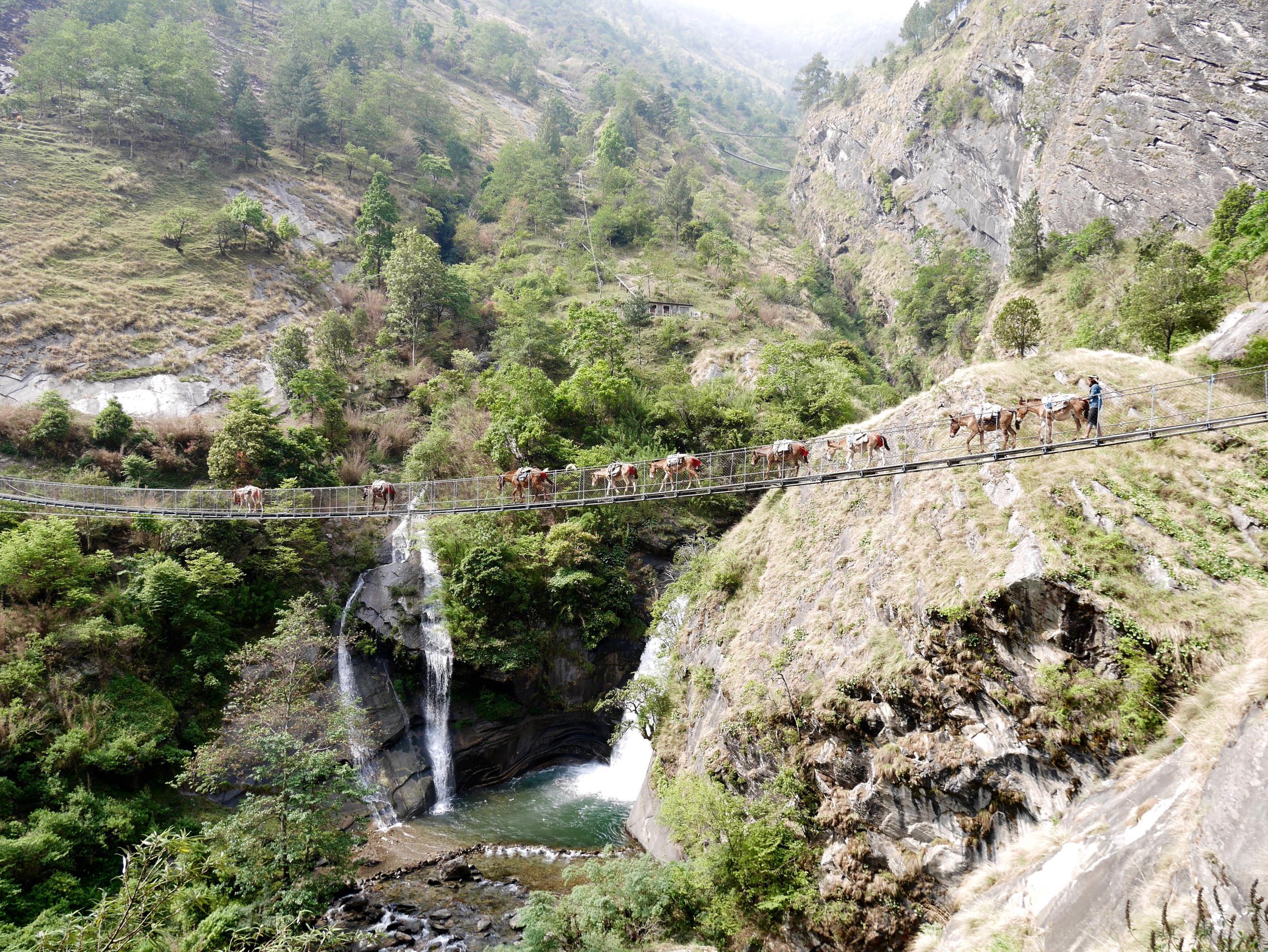 The trail was declared a tea-house trek in 2015