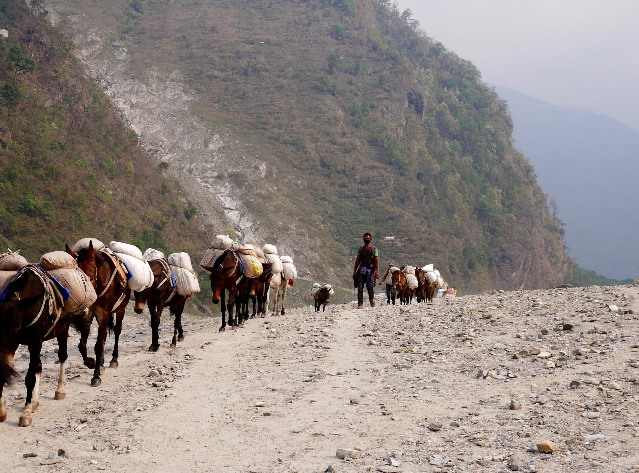 You're more likely to share the trail with a mule than with other hikers