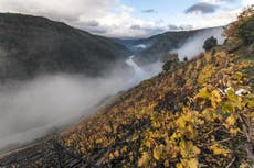 Why ancient Roman vineyards are reopening in eastern Galicia