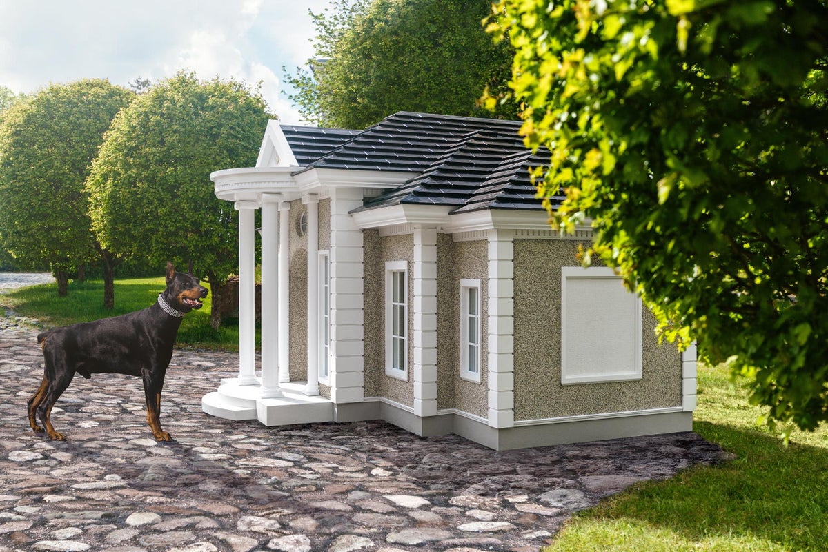 Dylan, decision-making and the dog house | The Independent | The ...