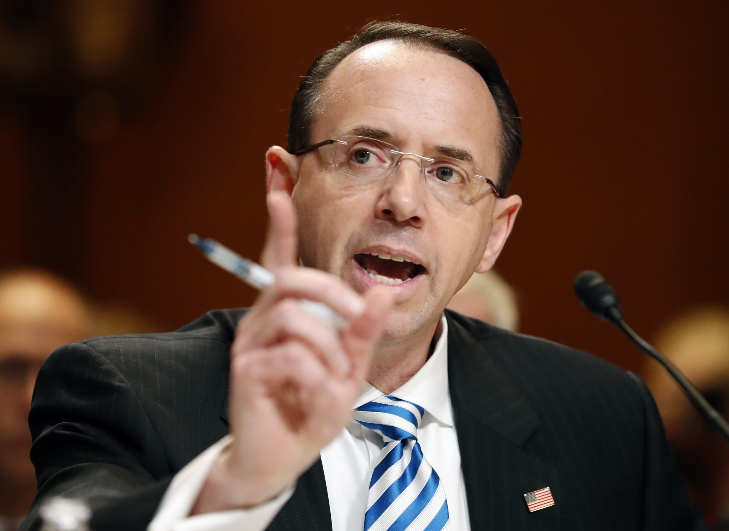Mr Rosenstein appointed special counsel to investigate Russia's meddling last year
