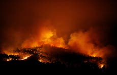 Forest fires kill dozens in central Portugal