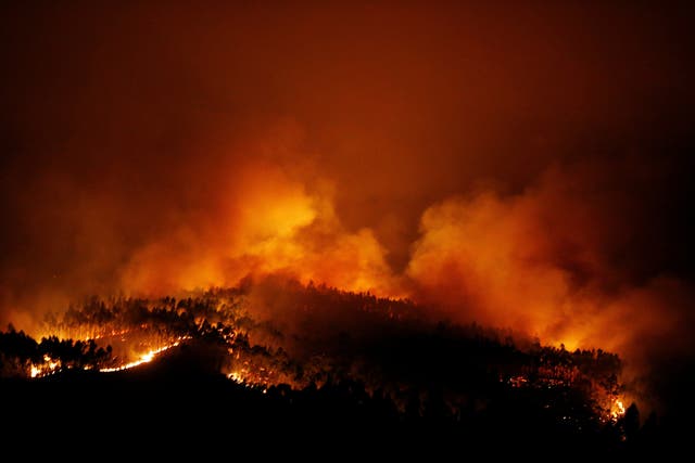 Fires in central Portugal killed more than 60 people and injured hundreds