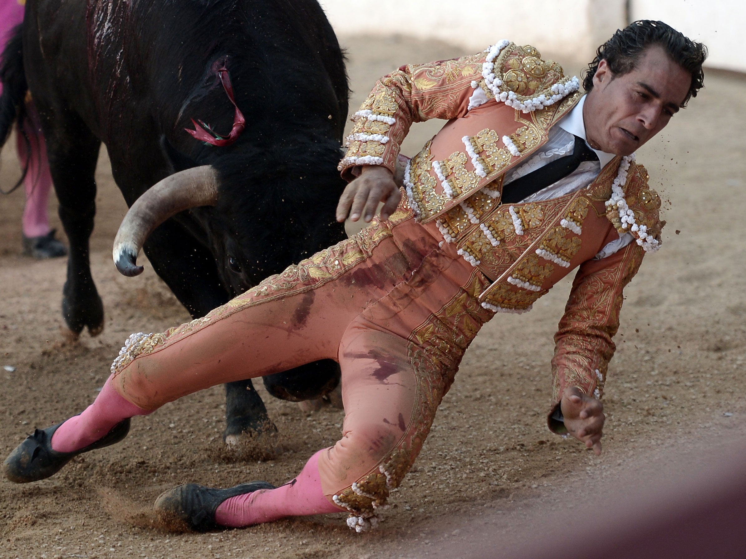 The matador was gored after tripping over his cape?(Iroz?gaizka/AFP/Getty Images)