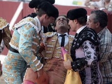 Award-winning matador dies after being gored in bullfight