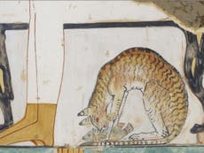 Ancient Egypt’s beloved cats helped species colonise the planet