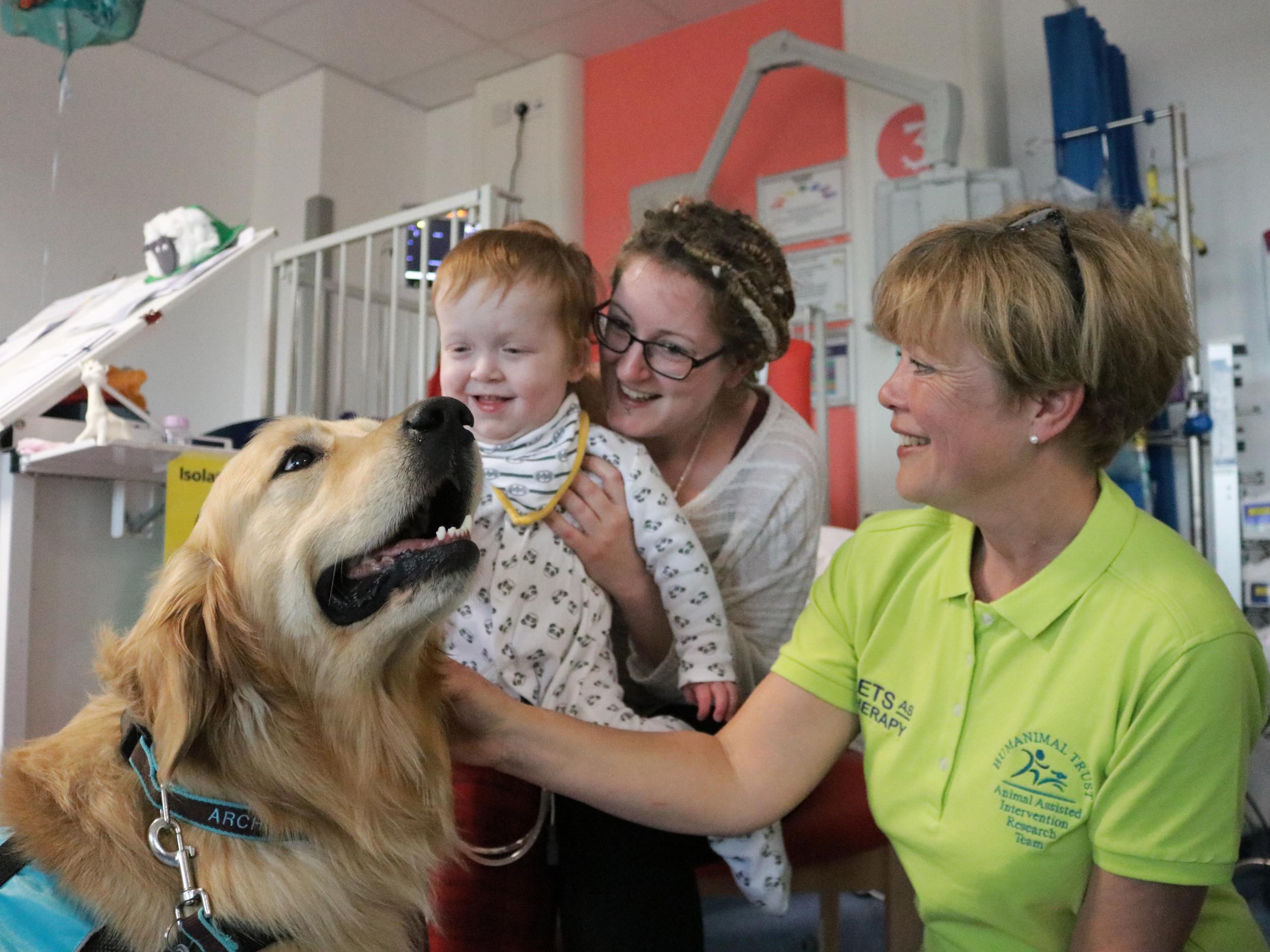 Karen, another animal therapy handler at University Hospital Southampton visits patients with dog Archie