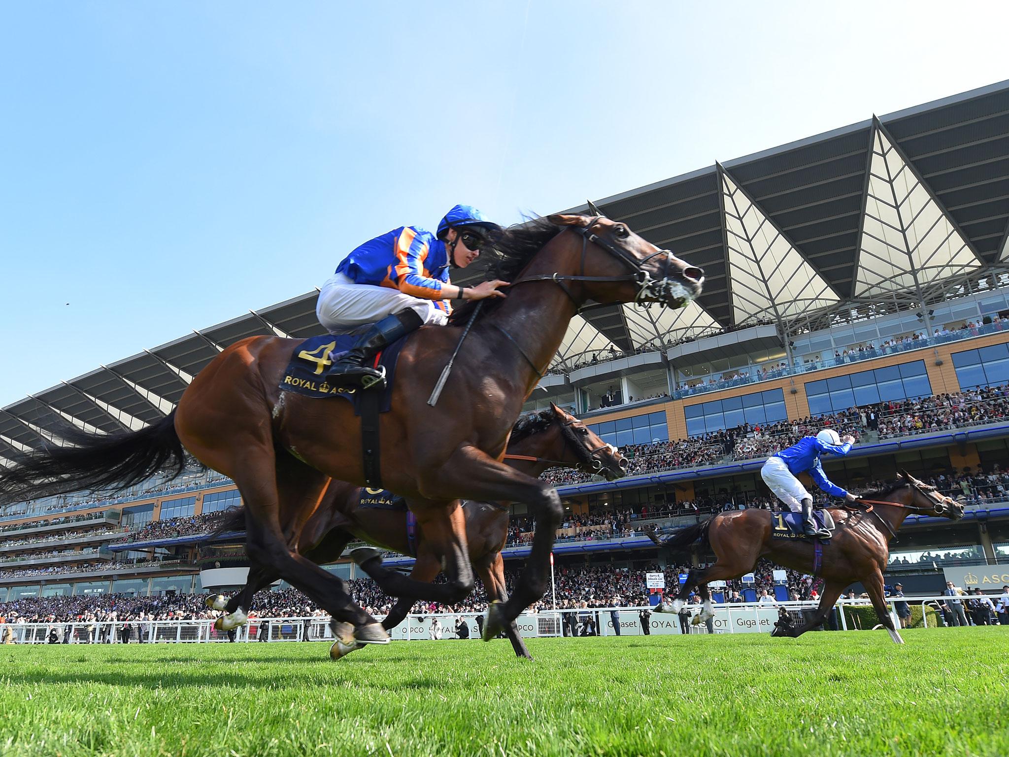 &#13;
Barney Roy swooped past Lancaster Bomber close to the line to defeat the Aidan O'Brien runner by a length &#13;