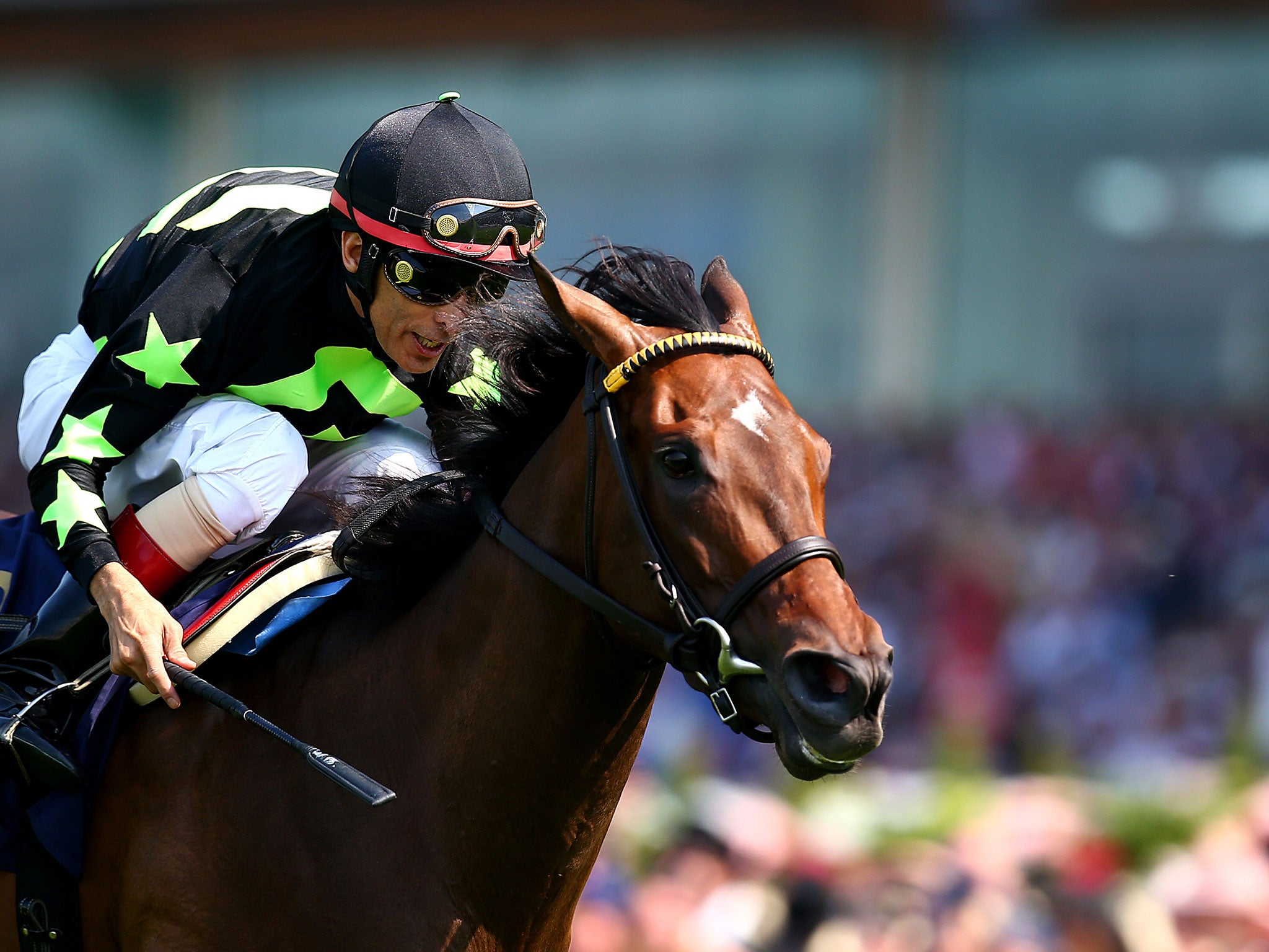 John Velazquez rides Lady Aurelia clear to win The King's Stand Stakes