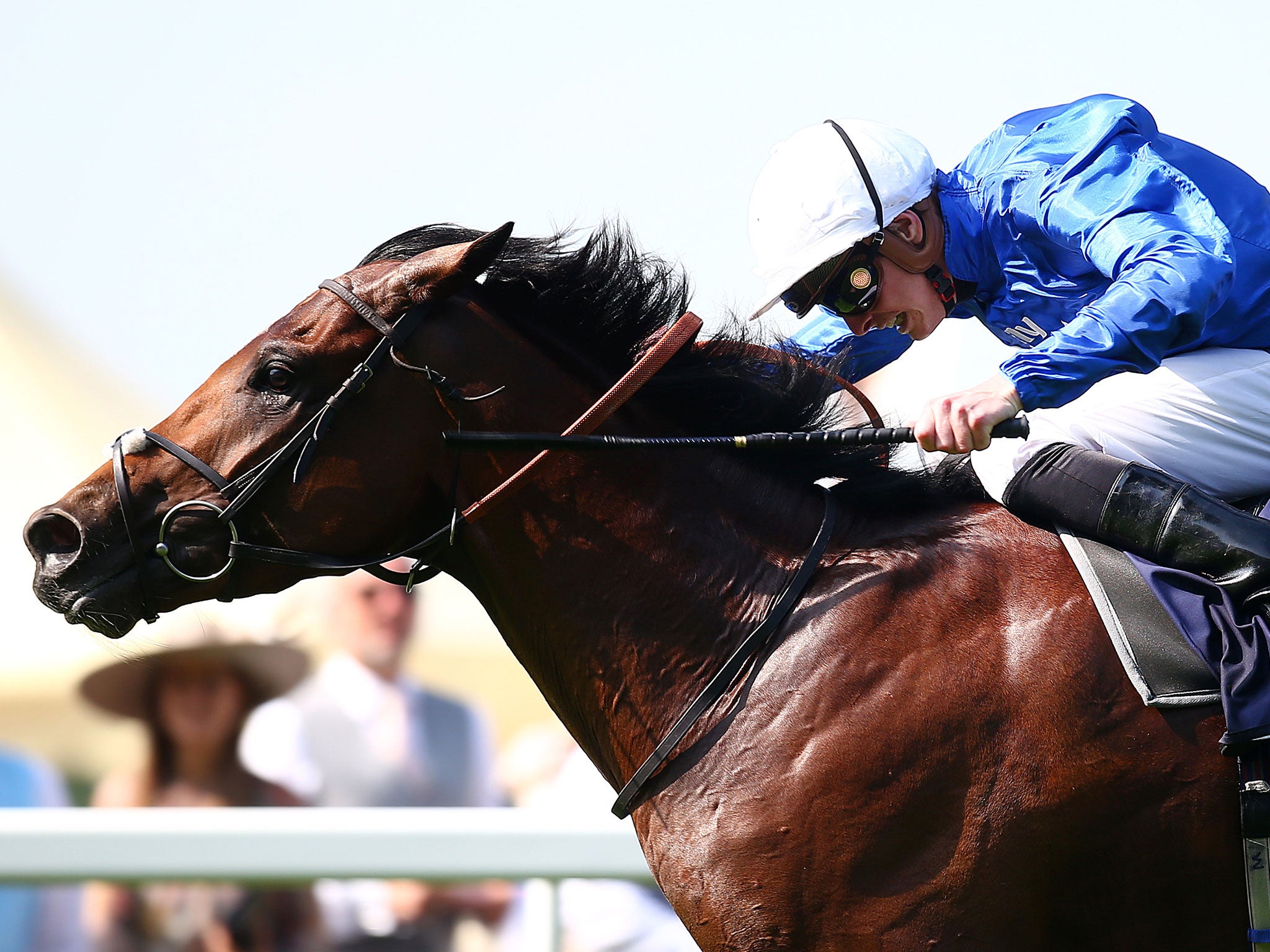 James Doyle rides Barney Roy to win The St James's Palace Stakes
