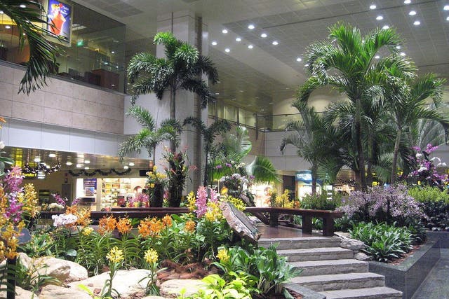 Not your average airport: Changi has garden areas with koi carp ponds