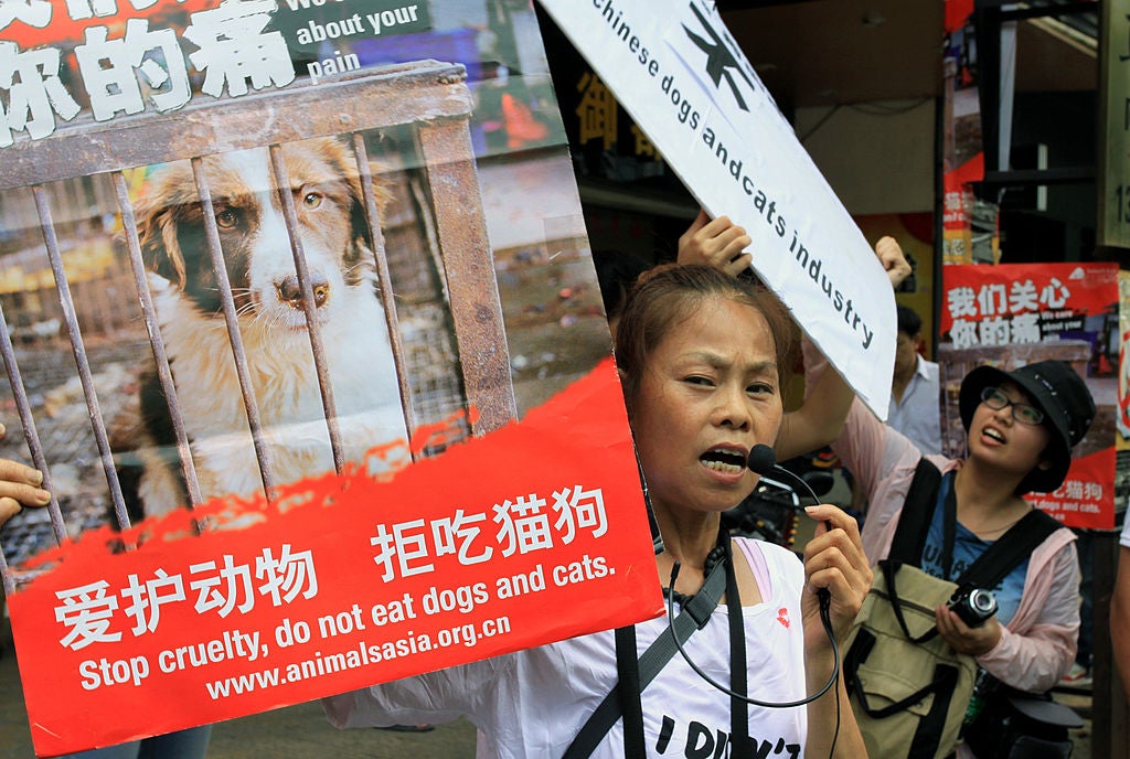 Animal rights activists protest outside a dog meat restaurant in Yulin