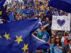 29% of Remainers 'would accept expulsion of EU citizens post-Brexit'