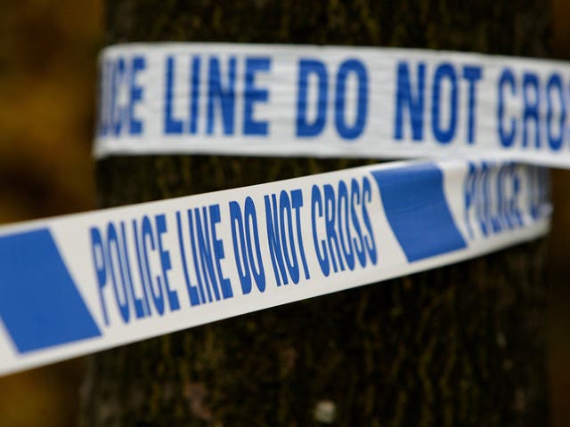 A man has been arrested on suspicion of attempted murder following a stabbing at a seafront park in Bogor Regis.