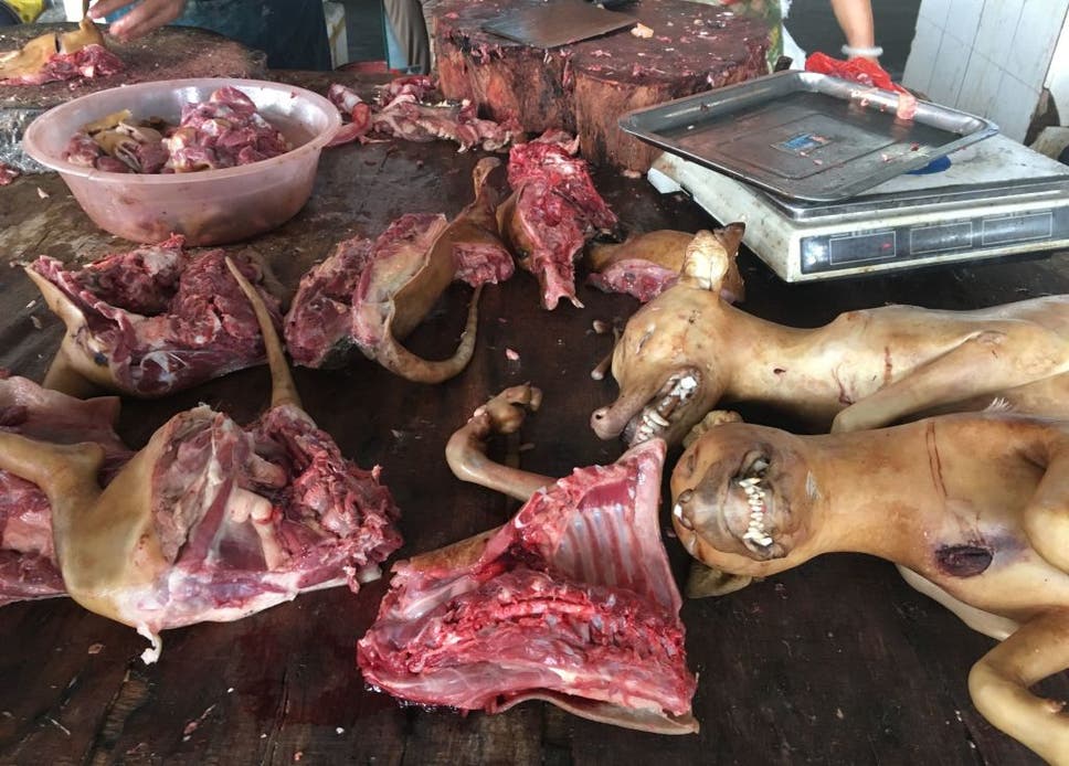 Dog meat at Nanqiao market in Yulin