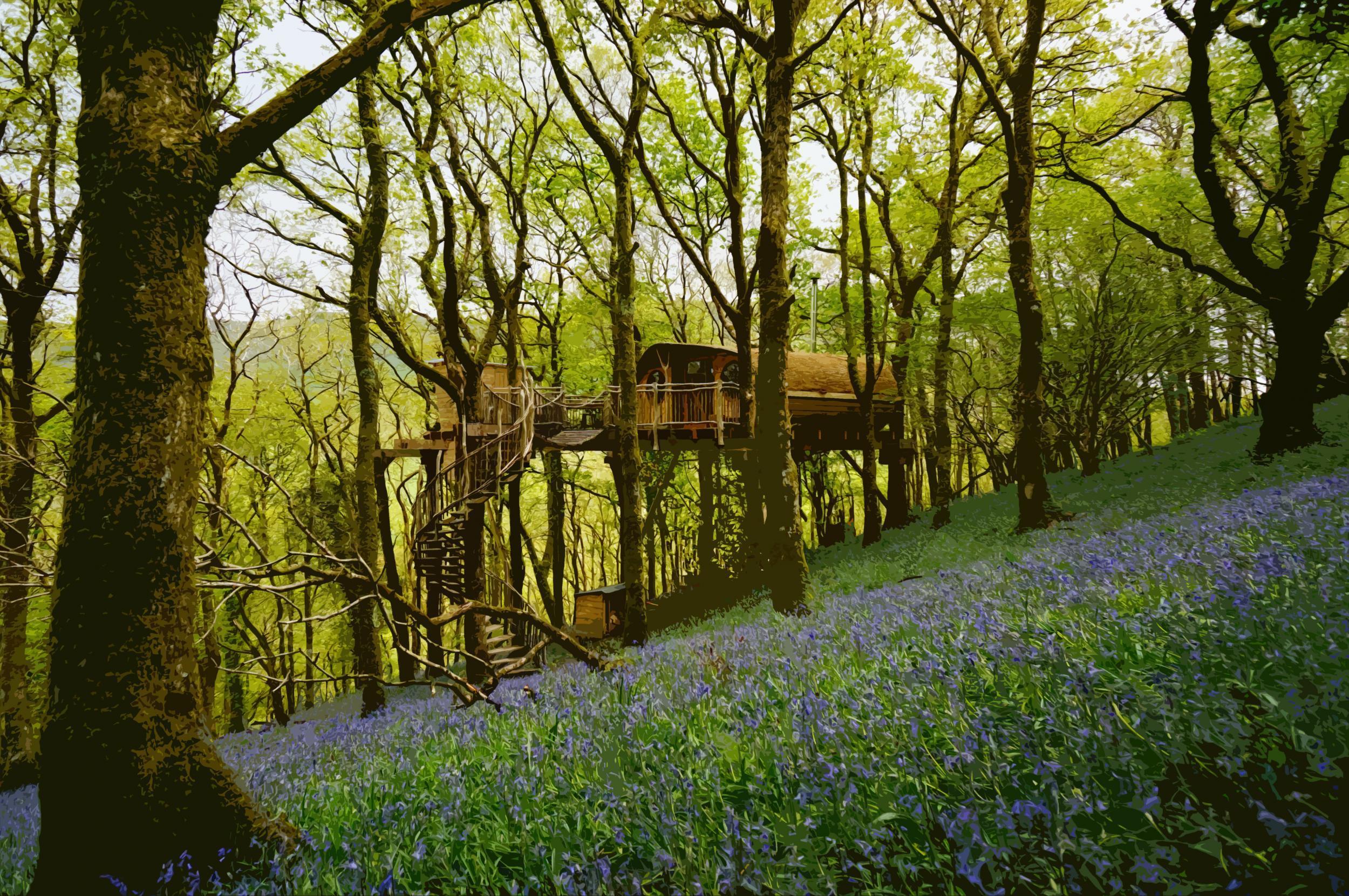 Living Room boasts spectacular treehouses