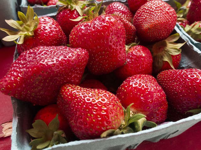 It is expected that strawberry prices will rise as EU migrant workers leave because of Brexit