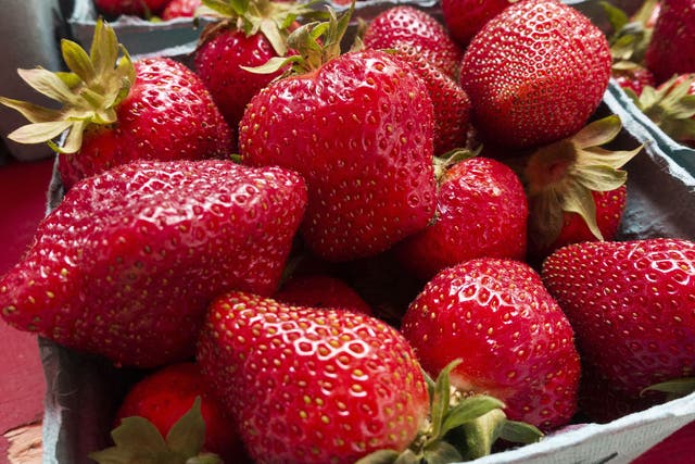 It is expected that strawberry prices will rise as EU migrant workers leave because of Brexit