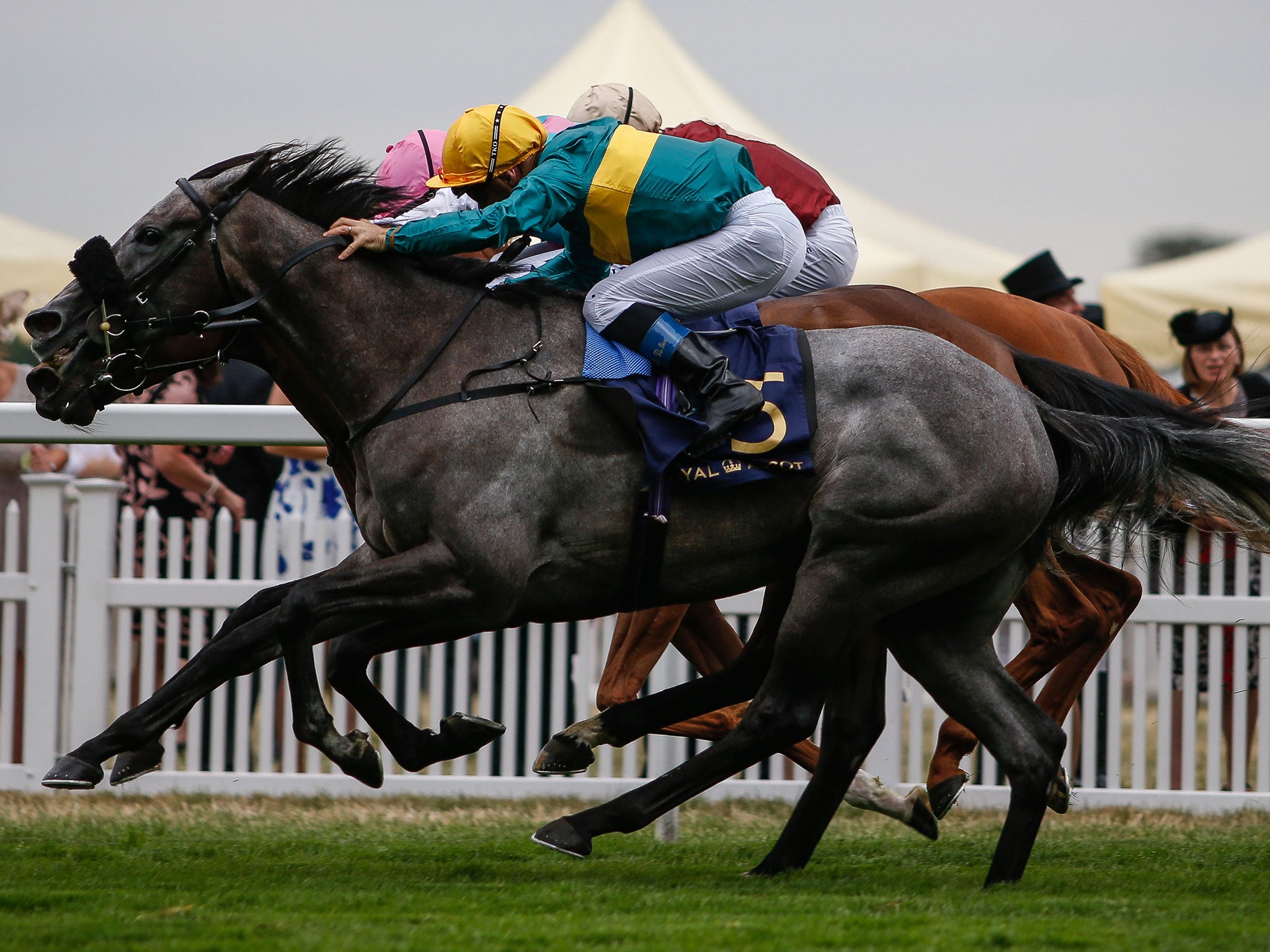 Olivier Peslier on Coronet wins the Ribblesdale Stakes