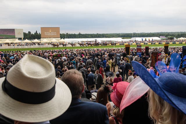 Racegoers look on during a race at Royal Ascot
